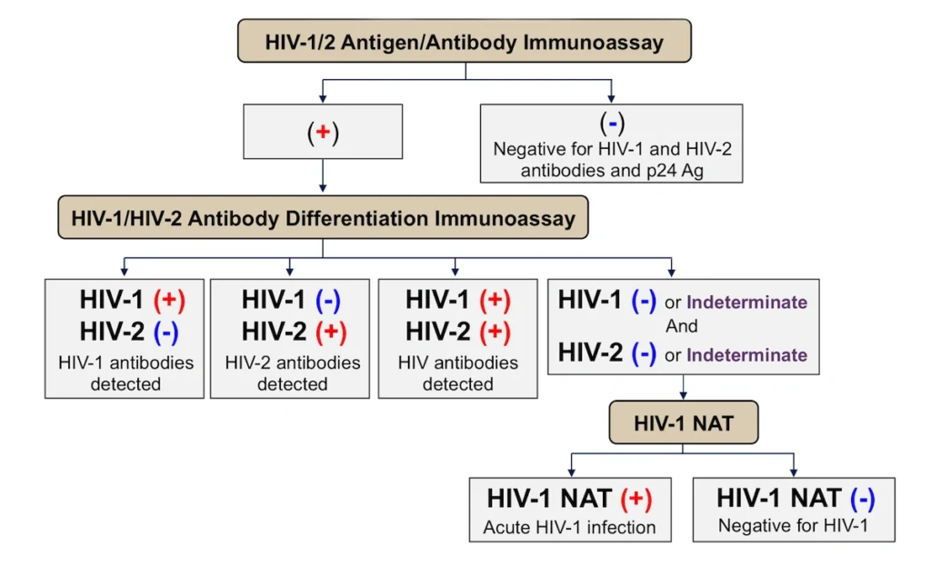 Flowchart showing HIV diagnostic testing steps from antigen/antibody immunoassay to antibody differentiation and NAT results. HIV Multiplex Testing